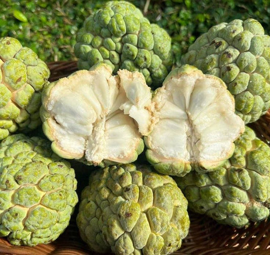 Custard apple/ Sitafal